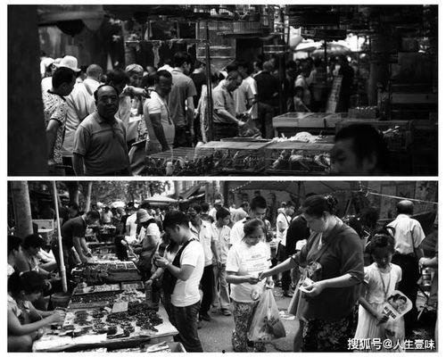 西安美食爆料小姐姐视频,跟随小姐姐视频解锁地道风味 第1张 西安美食爆料小姐姐视频,跟随小姐姐视频解锁地道风味 第1张